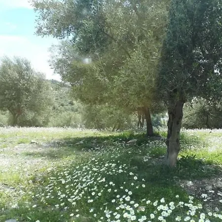 Landscape *